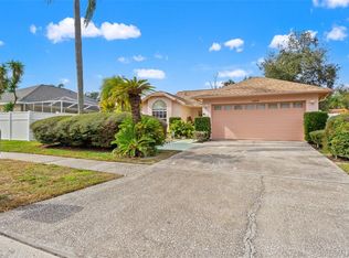 13504 Fawn Ridge Blvd, Tampa, FL 33626