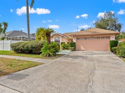 13504 Fawn Ridge Blvd, Tampa, FL, 33626