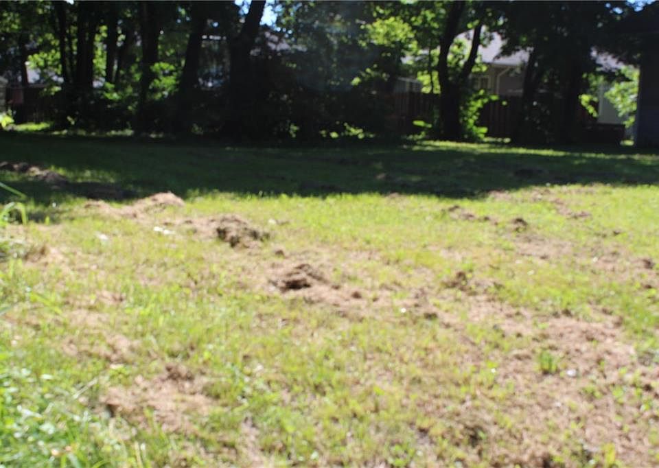 1st image of 3615 Graceland Ave