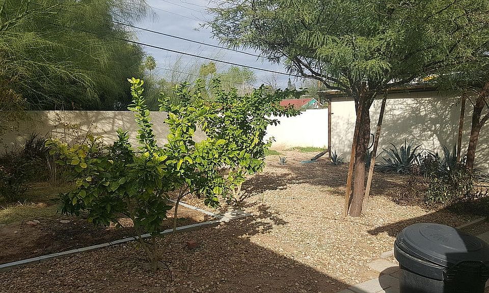 Shared Garden Space