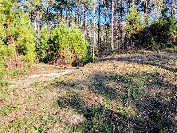 3rd image of 314 Livingston Ct Lot 48