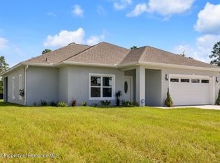 12387 Talpa St, Spring Hill, FL 34608