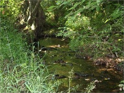 Highway 49, Ashland, AL, 36251