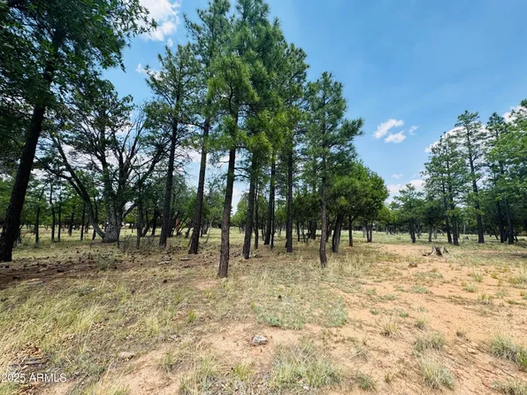 3236 DURANGO Drive #6, Happy Jack, AZ 86024