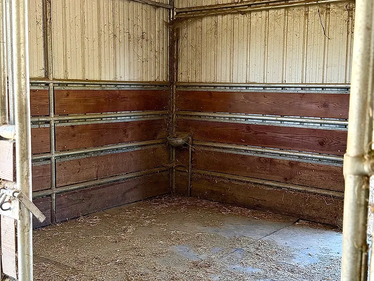 12'x12' box stalls with feeders and automatic waterers