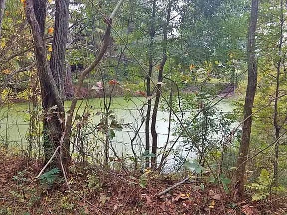 4th image of 116 County Road 4712