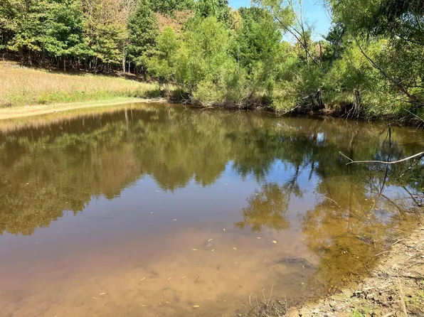 TRACT 2 Thompson Creek Ln, Mena, AR 71953