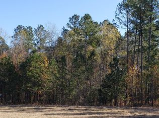 0 Myers Mayo Rd, Ridgeville, SC 29472