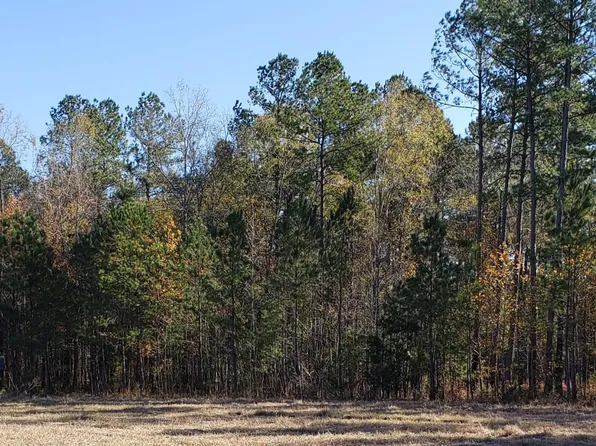 0 Myers Mayo Rd, Ridgeville, SC 29472