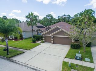 12708 Tar Flower Dr, Tampa, FL 33626