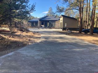 410 Bear Cub Dr, Ridgway, CO 81432