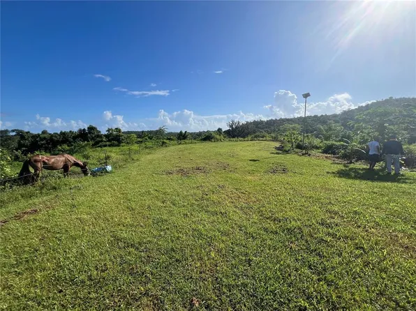 Carr 857 Kmhm 3 3 Bo Canovanillas, Carolina, PR 00987