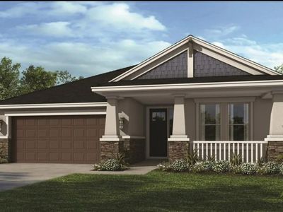 2740 Leafwing Ct, Palm Harbor, FL, 34683