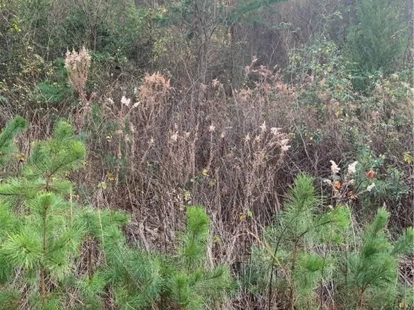 Wildwood Ln #3, Poteau, OK 74953