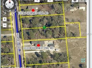 Horned Owl Rd, Weeki wachee, FL 34614