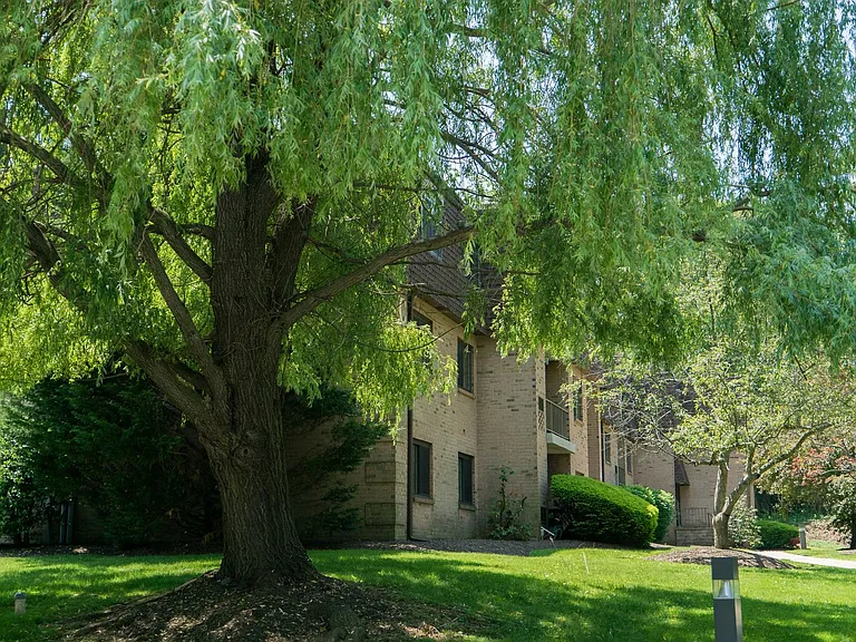 La Maison Apartments — Photo 22