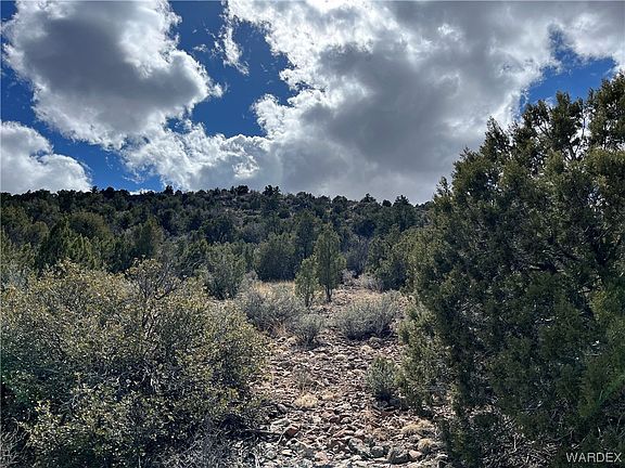 5th image of 68 E Mountain Man Hollow