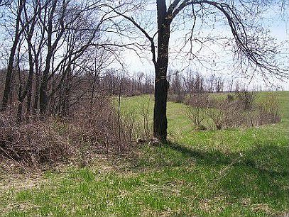5th image of 21743 County Hwy Nn
