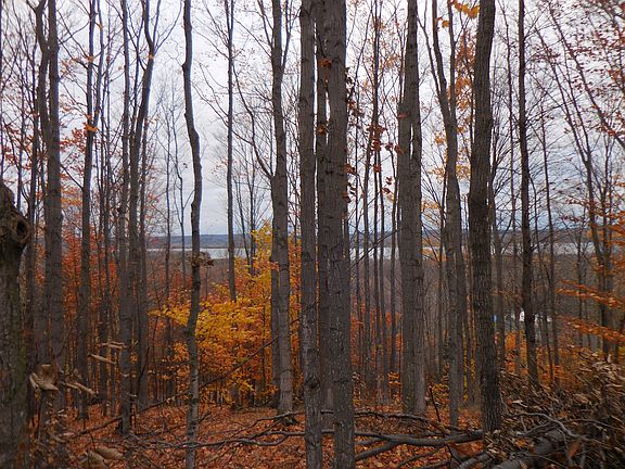 2nd image of Pickerel Lake Road