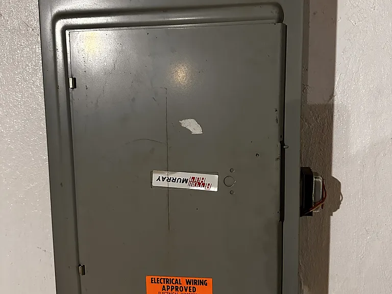 100 AMP Electric Service