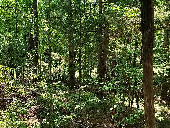 5th image of L13 B43 Palmer Lane