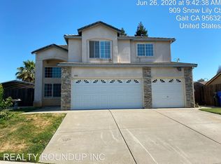 909 Snow Lily Ct, Galt, CA 95632