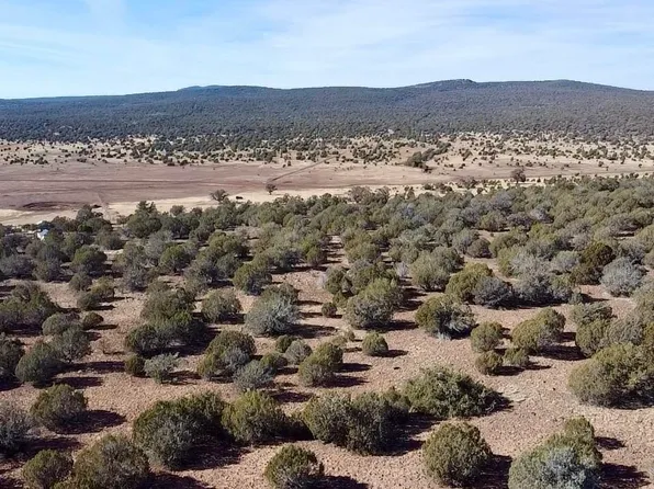 0 N Edwards Rnch, Ash Fork, AZ 86320