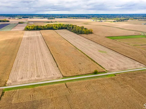 0 Bragg Rd, Deerfield, MI 49238