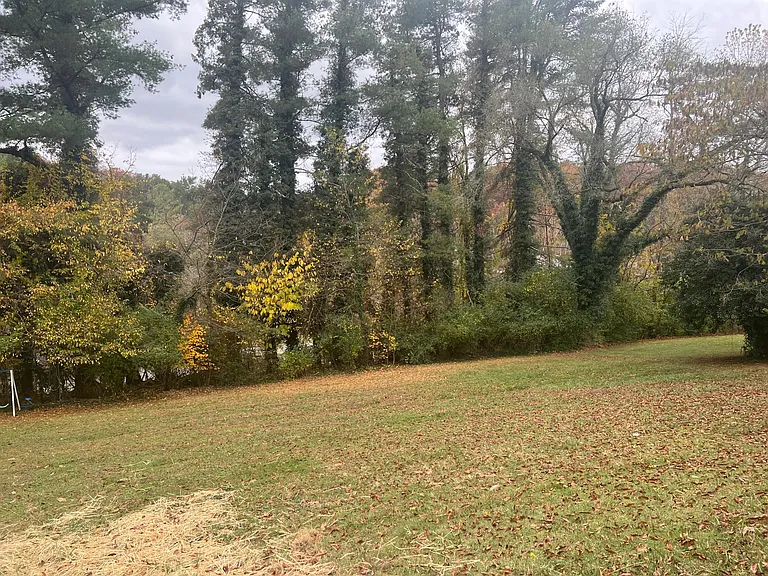 241 Shirley Dr — Photo 8