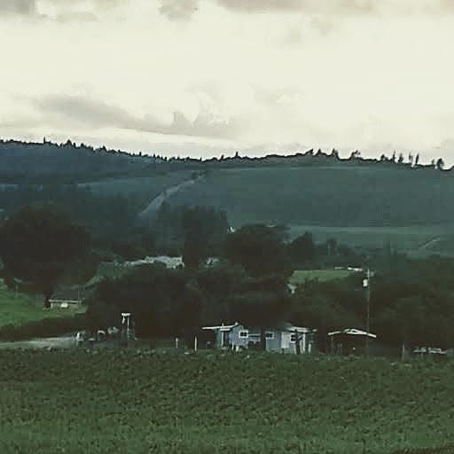 view of home from adjacent property