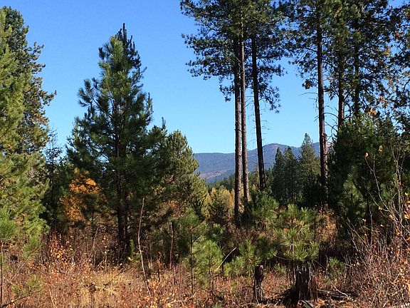 Back 1/2 of property