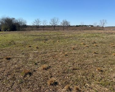 LOT 1 Culver Rd, Newville, AL, 36353