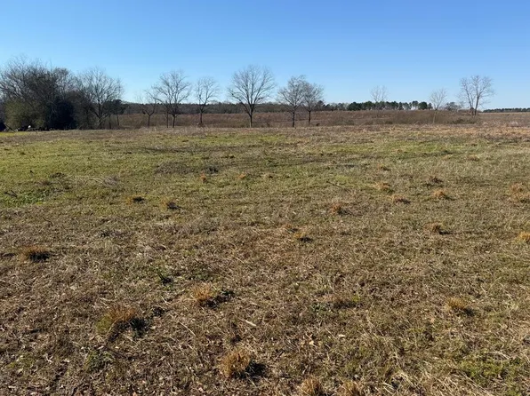 LOT 1 Culver Rd, Newville, AL 36353