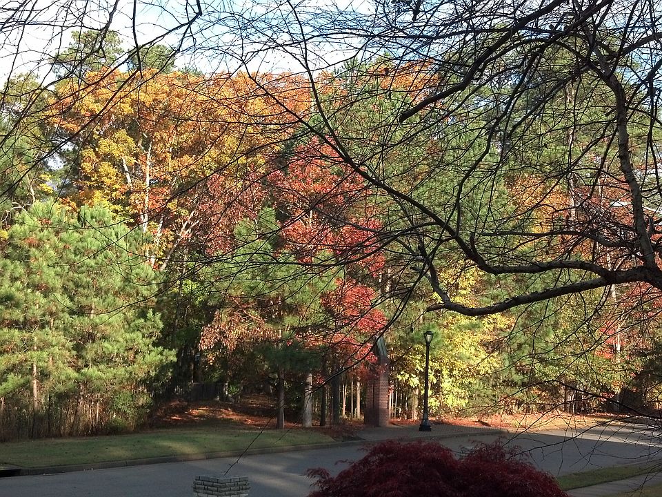 2nd image of 245 Marsh Island Dr