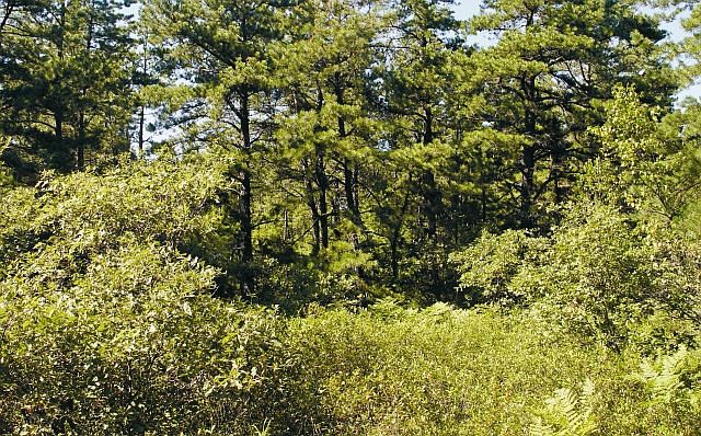 2nd image of Us Highway 27