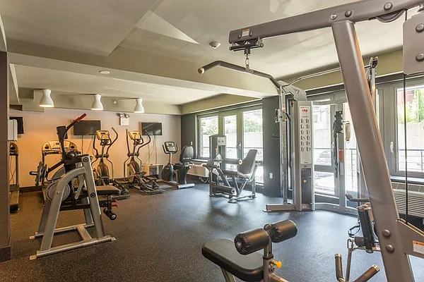 Rented by MNS | media 51