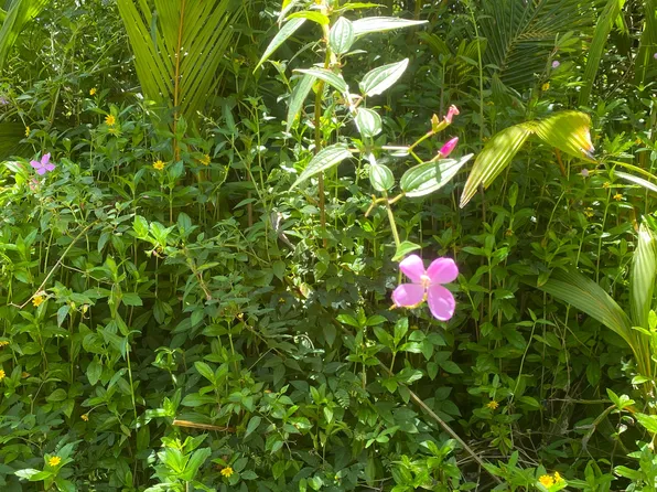 Seaview Rd Lot 57, Pahoa, HI 96778