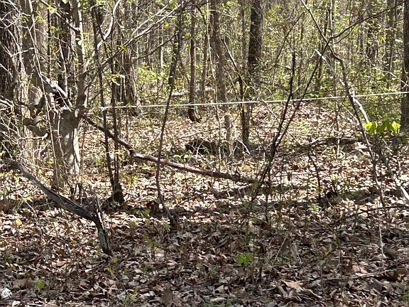 5th image of LOT 9 Jones Ridge Rd