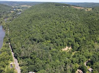 33 Alexander Rd, Chenango Forks, NY 13746