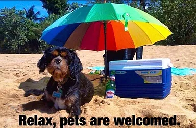 Rented by Mauro Bros Real Estate Services LLC