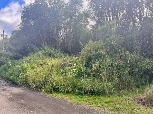 Oahu St Lot 11, Mountain View, HI 96771