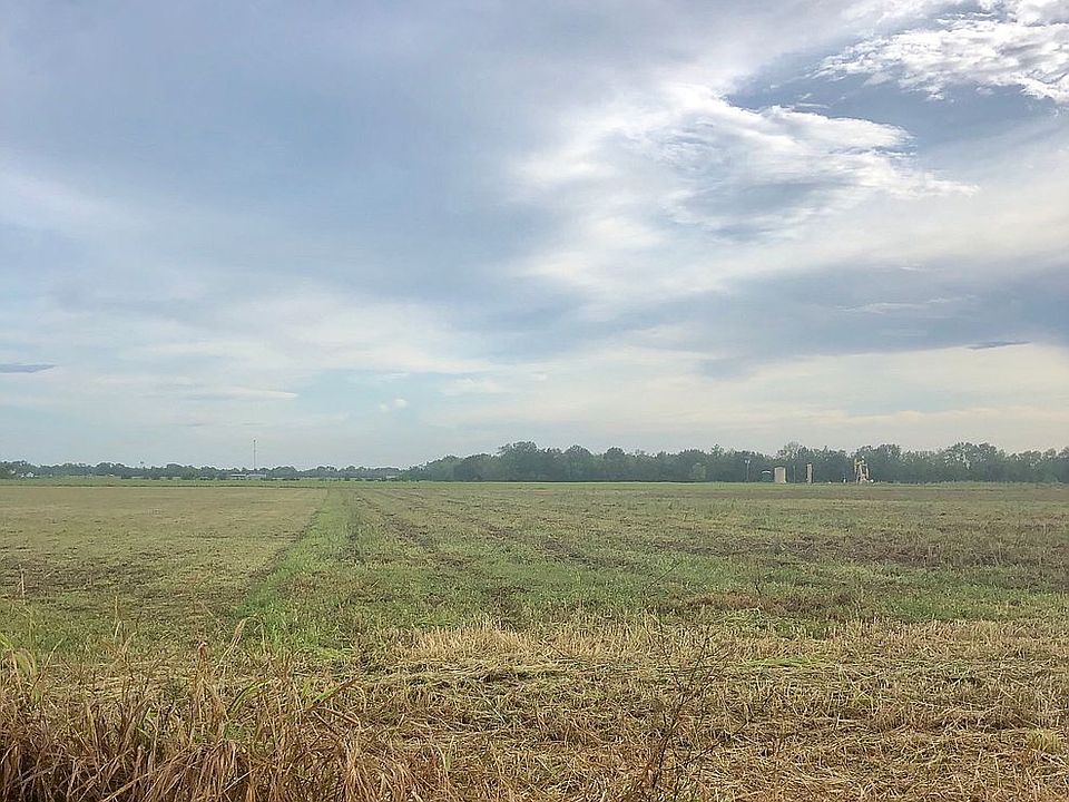 2nd image of 207 Big Leaf Rd