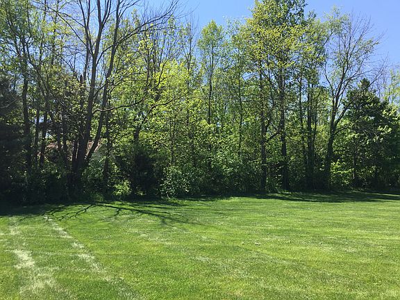 Woods south end of property