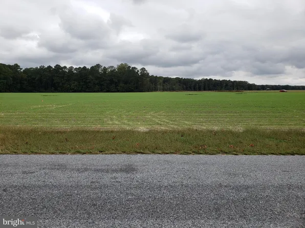 36978 Brittingham Rd, Delmar, DE 19940