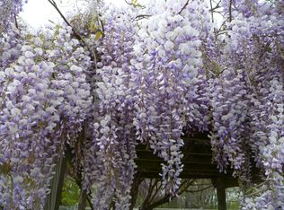 7202 Sipes Ln, Annandale, VA 22003