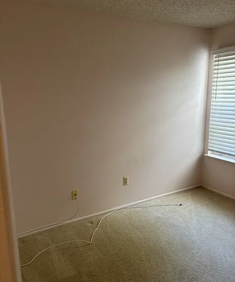 133 Tulip Ln — Photo 11