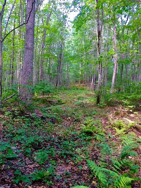 1st image of 265 Webber Hill Road