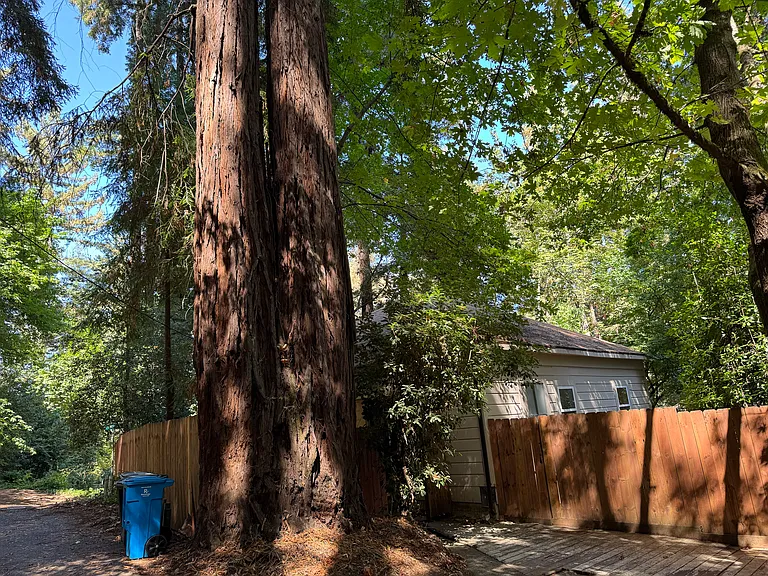 148 Sequoia Ave — Photo 6