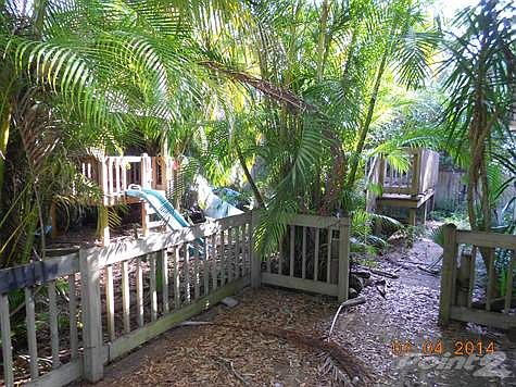 back yard