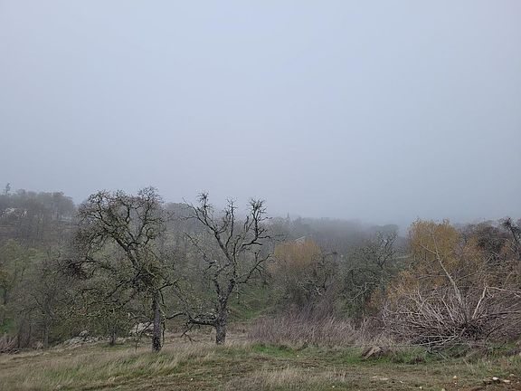 3rd image of 5015 Bane Rd